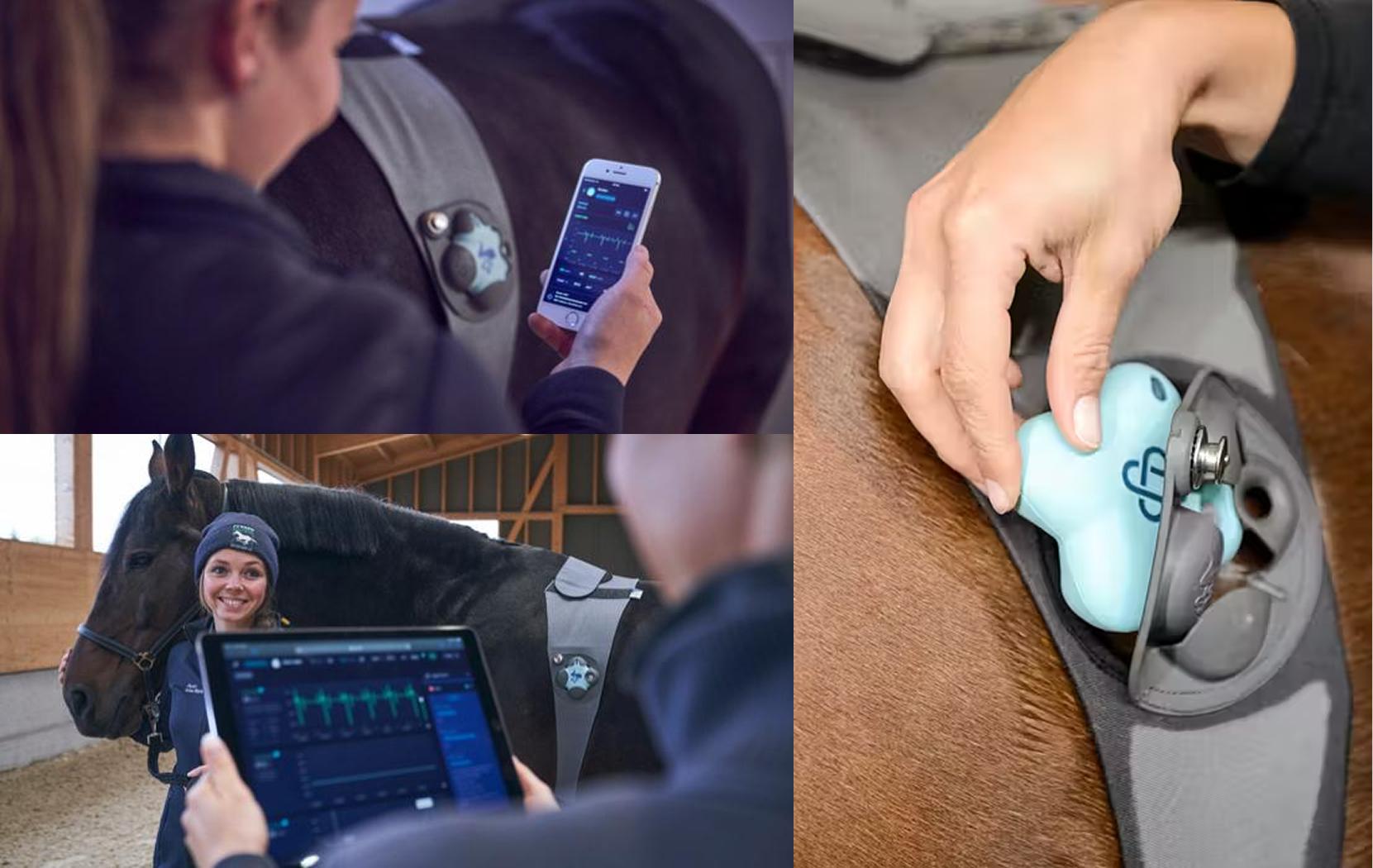 The Piavet System